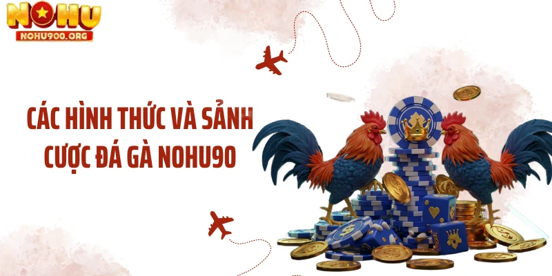 Các hình thức và sảnh cược đá gà NOHU90