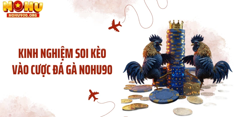 Kinh nghiệm soi kèo vào cược đá gà NOHU90